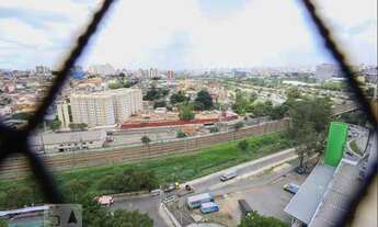 Imagem 7: Apartamento para Aluguel - Jardim Iris , 2 Quartos, 63 m2