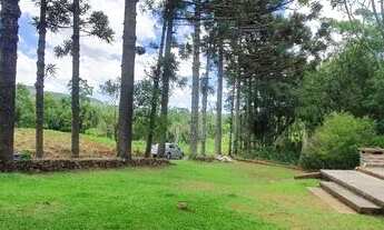 Imagem 3: Sítio na Estrada Linha Araripe em Gramado!