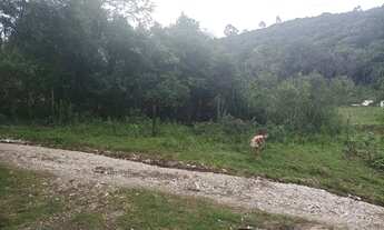 Imagem 3: Terreno Chácara em bocaiuva