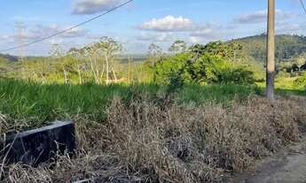Imagem 3: Vendo maraviloso sitio em valenca