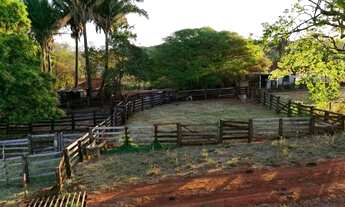 Imagem 3: Fazenda para venda tem 28 Alqueires com 3 quartos na Região do Panamá- GO