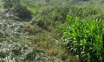 Imagem 4: Fazenda/Fazendinha/Sítio 90 Hectares, 900.000m2, MGC383, São Brás do Suaçui - MG