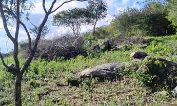 Imagem 3: Terrenos em Arcoverde PE