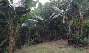 Imagem 5: Chacara vista panoramixa e pomar 165 mil reais