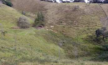 Imagem 7: Ótimo terreno 8 hectares