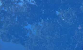 Imagem 3: Vende-se chácara