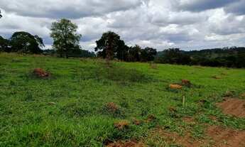 Imagem 2: Chácaras 1.500 m² em Nova Veneza - GO!