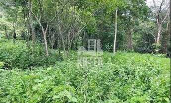 Imagem 6: Terreno à venda, 2091 m² por R$ 240.000,00 - Pendotiba - Niterói/RJ