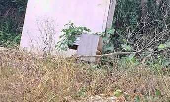 Imagem 4: Vende-se terreno