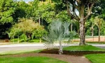 Imagem 7: Oportunidade no condomínio Mar Du Ler em Guarapari