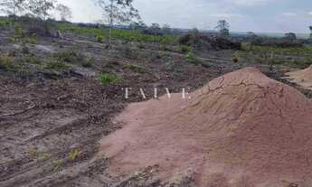 Imagem 7: Fazenda 3000 hectares à venda , área plana, casa sede, barracão, poço artesiano, internet