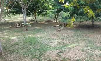 Imagem 3: Sítio em Presidente Figueiredo