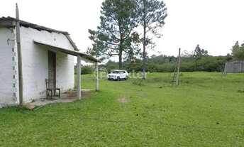 Imagem 5: Fazenda / Sítio / Chácara à venda Rua Orlando Caetano Chaves, Passo do Vigário - Viamão