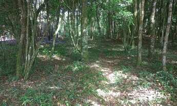 Imagem 4: Terreno em São José dos Pinhais Pr