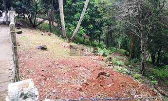 Imagem 5: Terreno 1007 m2 na Cachoeira do Bom Jesus, 1km da praia