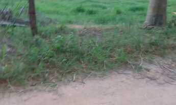 Imagem 5: Venda-se está propriedade de 5 Alqueires no Município de Atílio Vivacqua/ES