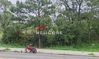 Imagem 7: Lote em Rua Homero Pacheco - Ulisses de Abreu - Canela/RS