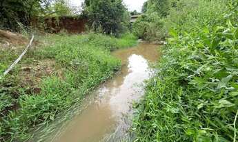 Imagem 6: Chácara 4,5 alqueires (21,69 hectares) Pontalina - Go