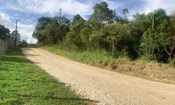 Imagem 5: Área no Roça Grande - Colombo PR