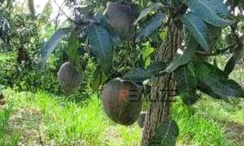 Imagem 5: Área à venda, 45000 m² por R$ 1.200.000 - Área Rural - Monte Mor/SP