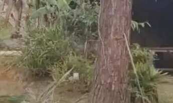 Imagem 4: Chácara Casa com 4 dormitórios