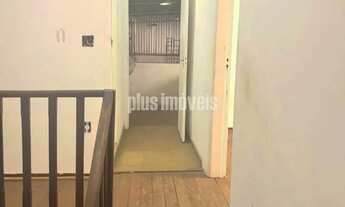 Imagem 6: PERDIZES - comercial