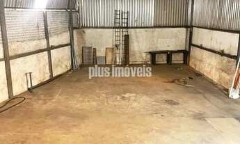 Imagem 3: PERDIZES - comercial