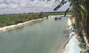 Imagem 6: Terreno de 27 tarefas (81.796 m²) no povoado Cangandú - Arapiraca/AL
