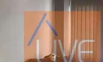 Imagem 5: LIVE VENDE: Apartamento com 2 quartos e vaga, 90 m² por R$ 460.000 - Boa Viagem - Niterói