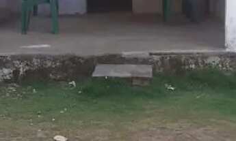 Imagem: Casa a venda Paraiba Sitio Ribeira Santa