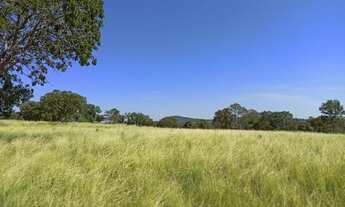 Imagem 2: Fazenda com 102 alqueires em Trombas-GO