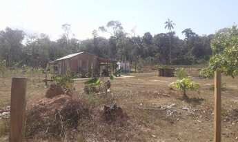 Imagem 3: Vendo chácara Chácara com venda por R$70.000