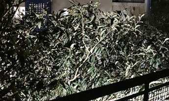 Imagem 6: Excelente Apartamento Vila Alpina