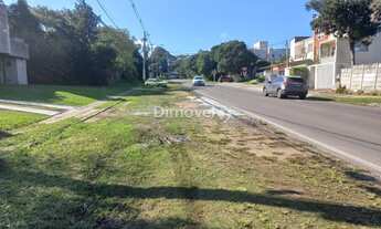 Imagem 6: PORTO ALEGRE - Terreno Padrão - IPANEMA