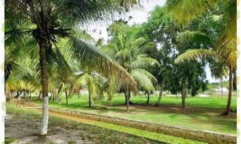 Imagem 5: LOTES CONDOMINIO AGUAS MANSAS -PARIPUEIRA