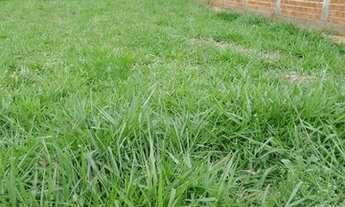 Imagem 5: Lote/Terreno para venda no Residencial Aldeia dos Sonhos - Anápolis - GO