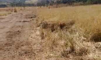 Imagem 3: VENDO LOTES PONTE ALTA GAMA