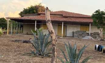 Imagem 3: Sítio Chácara com venda por R$220.000