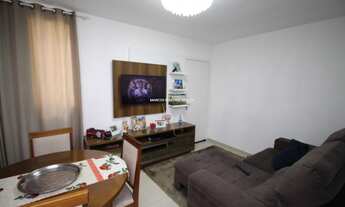 Imagem 2: SãO JOSé - Padrão - Roçado