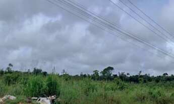 Imagem: Área - Barcarena-PA - Rodovia Transbarcarena