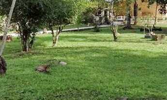 Imagem 6: Maricá Itaipuaçu Excelente Casa junto à Estrada de Itaipuaçu com 3.000 m²