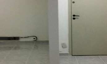 Imagem 7: Conjunto comercial para alugar em Perdizes, São Paulo