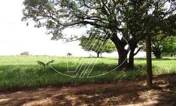 Imagem 5: área - Vila Hollândia - Campinas