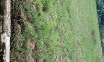 Imagem 3: VENDE-SE LOTES EM NOSSA SENHORA DO Ó