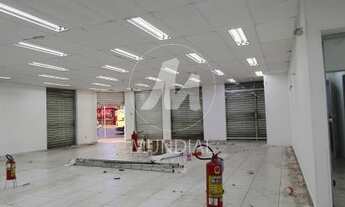 Imagem 3: Salão/Galpão (salão - térreo