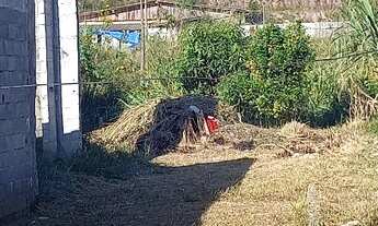 Imagem: Terreno em Maripora