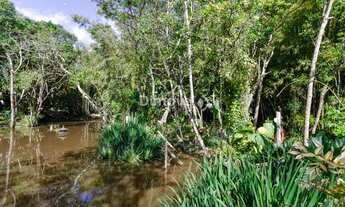 Imagem 5: PORTO ALEGRE - Terreno Padrão - TERRAVILLE