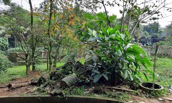 Imagem 3: Blumenau - Terreno Padrão - Salto Weissbach