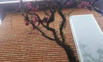 Imagem 3: CASA EM CONDOMÍNIO - CIDADE ADEMAR - SP