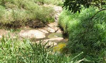 Imagem 3: Sítio em Taquaritinga do Norte